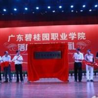 廣東碧桂園職業學院logo含義有哪些