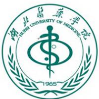 湖北醫(yī)藥學院logo含義是什么