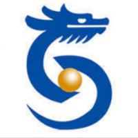 山東圣翰財貿(mào)職業(yè)學院logo有什么含義